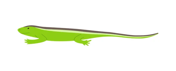 Side view of green lizard with stripes on back flat vector illustration isolated. — Stock Vector