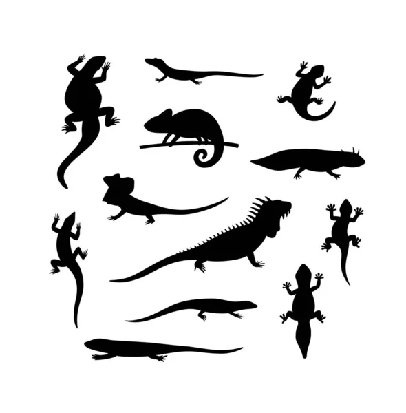 Conjunto de siluetas negras lagarto, salamandra, camaleón, iguana y otros reptiles — Vector de stock