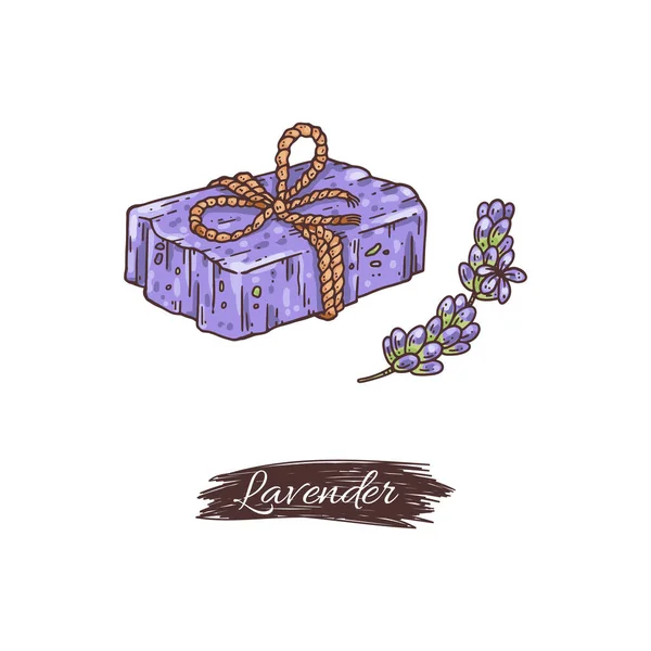 Lavender soap with branch of flowers, hand drawn vector illustration isolated. — Stok Vektör