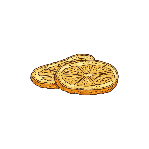 Deux tranches d'orange séchées pour vin chaud, pâtisserie ou gâteau une illustration vectorielle. — Image vectorielle