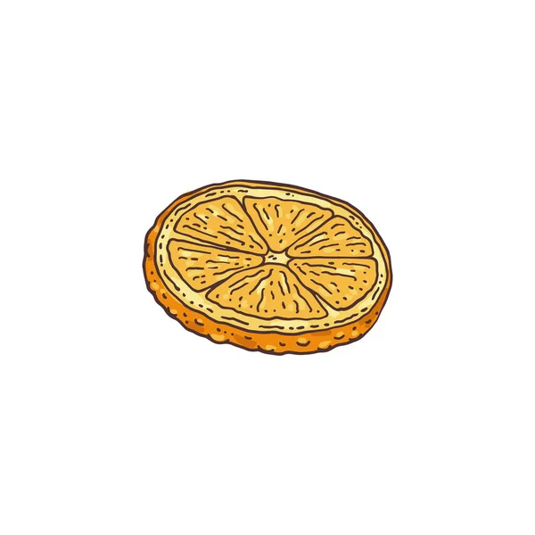 Suszony plasterek pomarańczy - przyprawa do grzanego wina, ciasta lub ciasta ilustracja wektora — Wektor stockowy