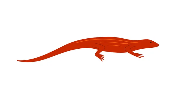 Vista lateral de lagarto rojo. Ilustración plana vectorial de reptiles aislados sobre fondo blanco. — Vector de stock