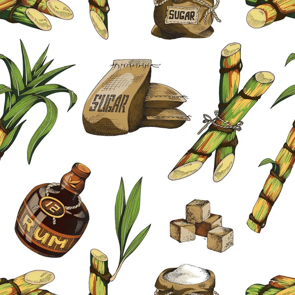 Cane sugar and rum seamless pattern, color engraving vector illustration. — Stock Vector