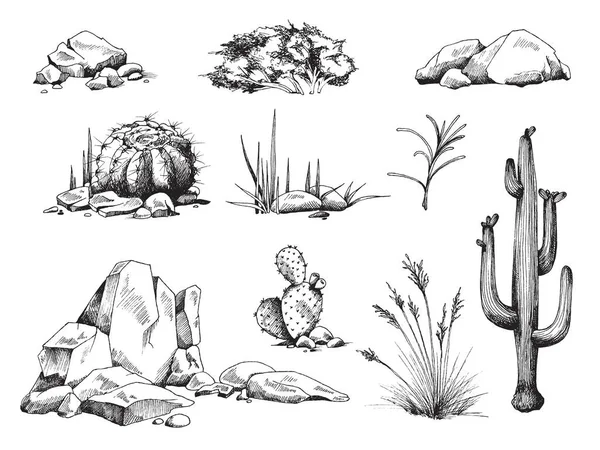 Um conjunto de plantas suculentas, pedras e cactos com flores um vetor ilustrações — Vetor de Stock