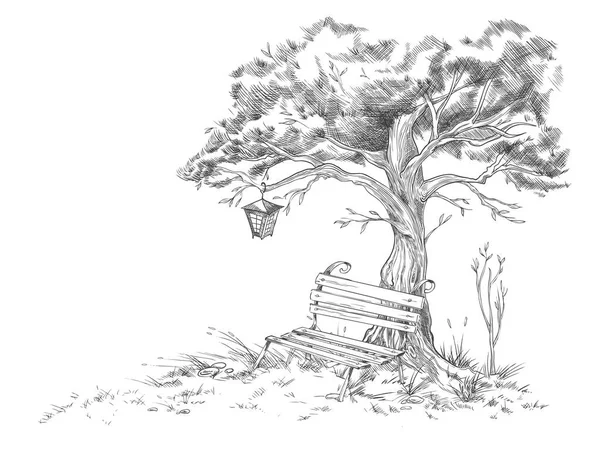 Рука намальована дерево з парковою лавкою, гравірування старовинних Векторні ілюстрації ізольовані . — стоковий вектор
