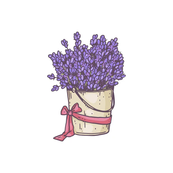 Kytice voňavé květinové levandule v kbelíku svázaná stuhou. — Stockový vektor