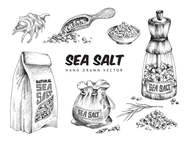 Sea salt in packs and kitchen utensils, engraving vector illustration isolated. — Stock Vector