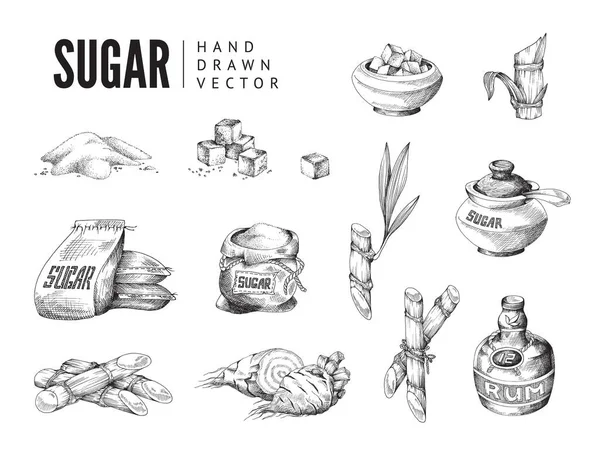 自然食品のサトウキビやビートルートシュガーの広告デザインのための要素 — ストックベクタ