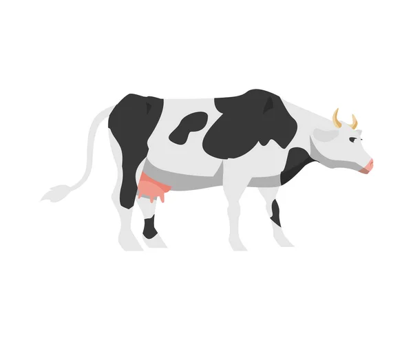 Dessin animé noir et blanc vache tachetée Holstein race frisienne — Image vectorielle