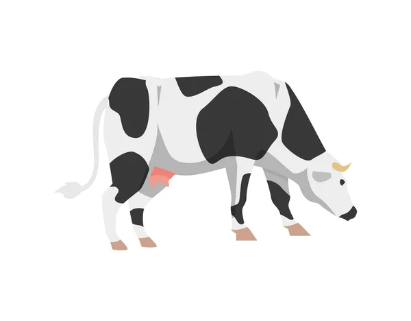 Caricatura holstein raza frisia ganado vacuno para leche, productos lácteos y carne. — Vector de stock