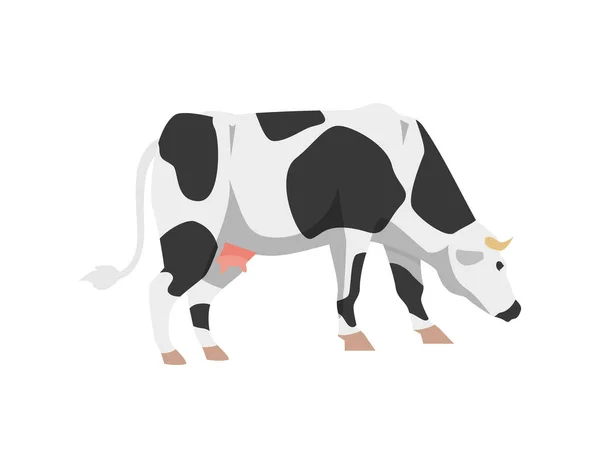 Bande dessinée holstein vache à bovins de race frisienne pour le lait, les produits laitiers et la viande. — Image vectorielle