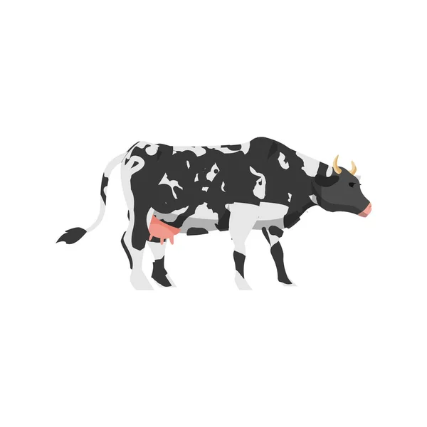 Černobílá skvrnitá kráva stojí bokem, plochý vektor ilustrace izolované. — Stockový vektor