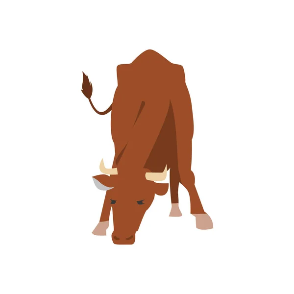 Purebred mucca marrone stand in vista anteriore vettoriale illustrazione isolato. — Vettoriale Stock