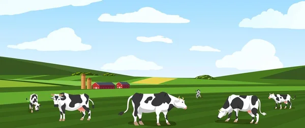 Fondo de verano con grupo de vacas de pastoreo, ilustración vectorial plana. — Vector de stock