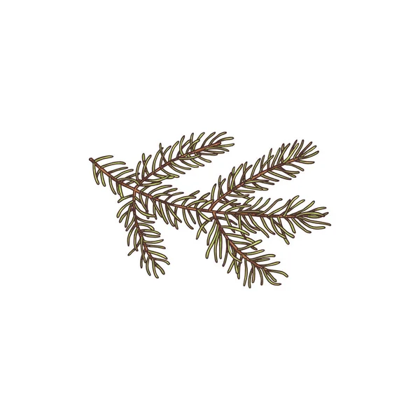 Christmas tree or fir single branch sketch vector illustration isolated. — Stock Vector