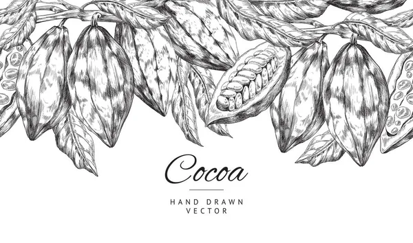 Diseño de telón de fondo de banner con granos de cacao en la ilustración de vectores de grabado. — Archivo Imágenes Vectoriales
