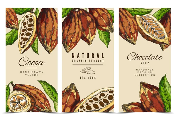 Набір векторних барвистих етикеток з какао-бобами на гілках з листям . — стоковий вектор