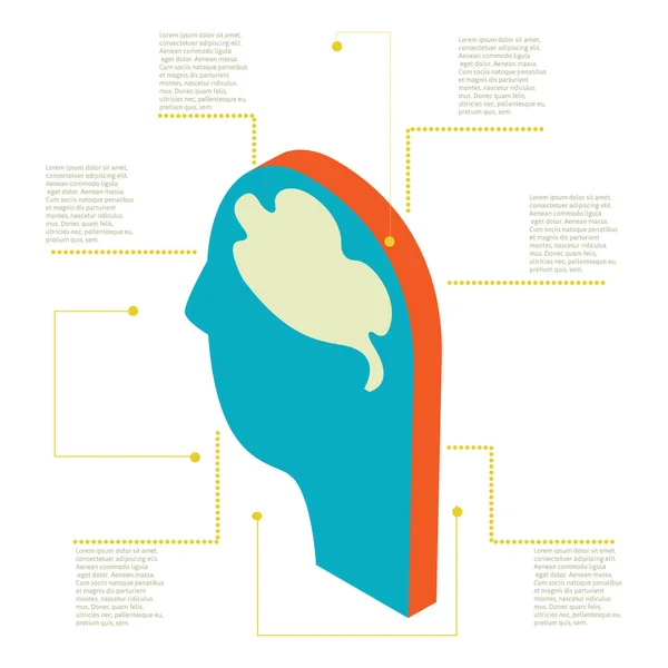 Infographic insan başı — Stok Vektör