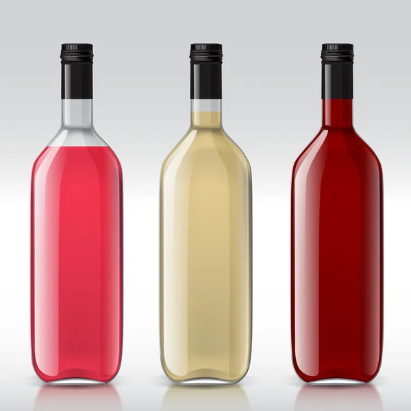 Set of transparent bottles for different wines — Stock Vector