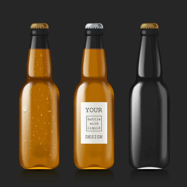 Steekproef van lege bierflesjes — Stockvector