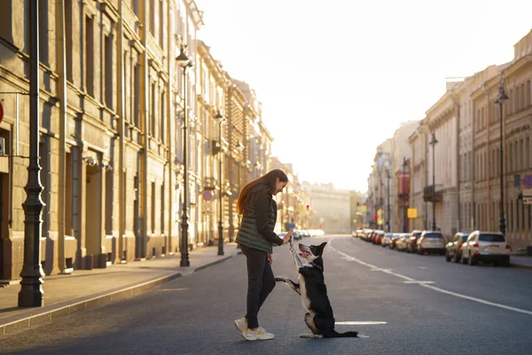 Девочка и собака на фоне разводных мостов в Санкт-Петербурге — стоковое фото