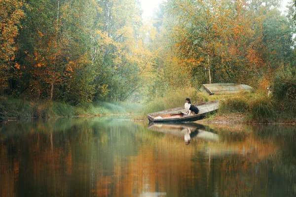 Dog in a boat in autumn. Tricolor australian shepherd in nature — Stock Photo, Image