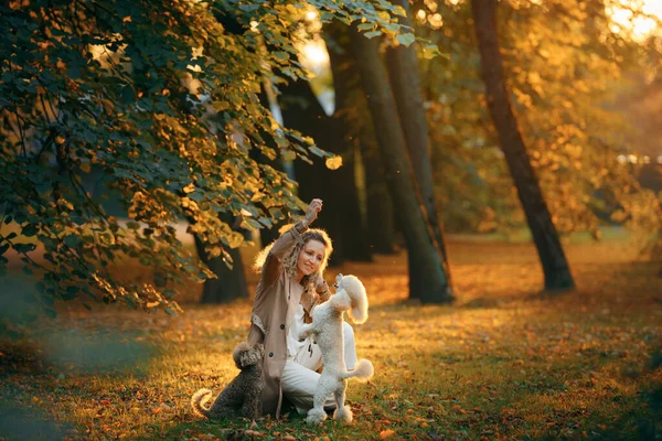 Mädchen und zwei Hunde in einem Herbstpark bei Sonnenuntergang. Wandern mit Haustier. Spielzeug und kleiner Pudel — Stockfoto