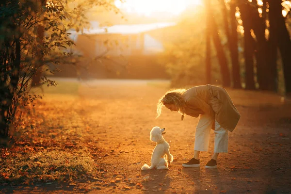 Flicka och hund i en höstpark vid solnedgången.. Går med husdjur. liten pudel — Stockfoto