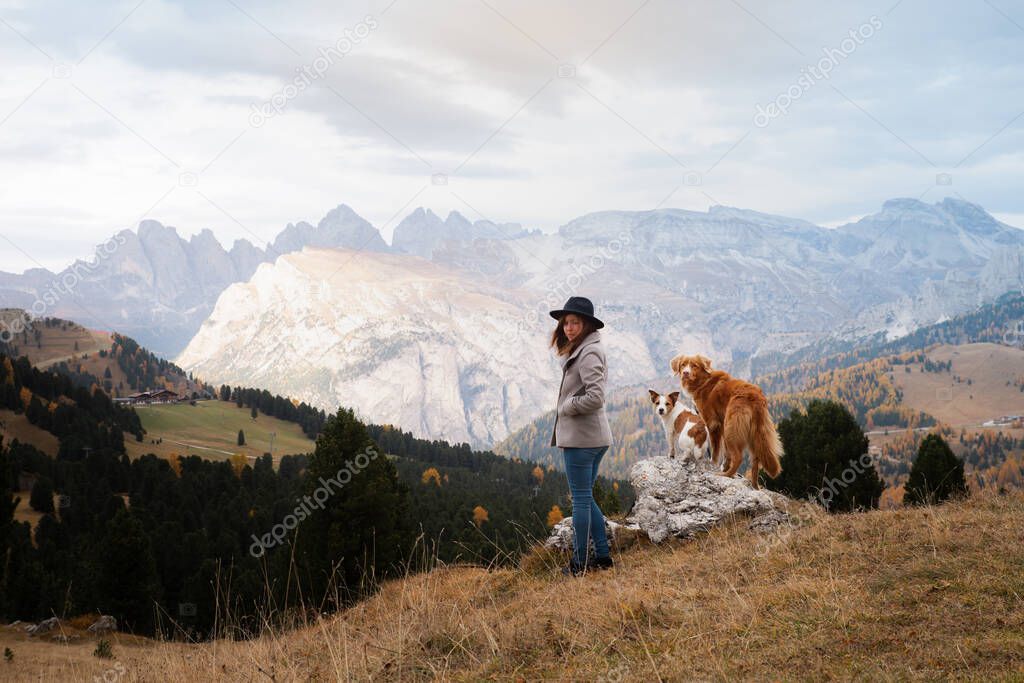 women with a dogs in the mountains. travel, hiking with a pet. toller retriever with a girl.