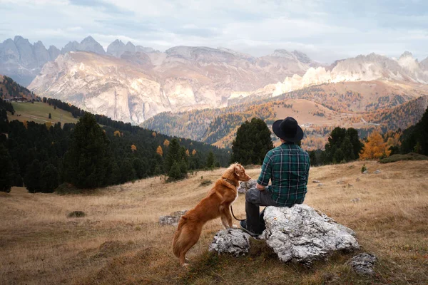 Mann mit Hund in den Bergen. Reisen, Wandern mit einem Haustier. Nova Scotia Duck Tolling Retriever — Stockfoto