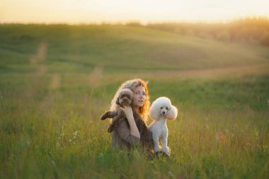 Kadın ve iki köpek gün batımında bir tarlada. 