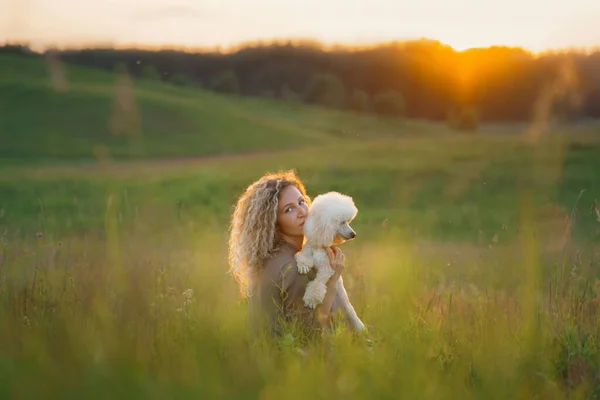 Woman and dog on a field at sunset. — Stock Photo, Image