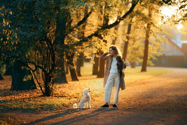 Sonbahar parkında gün batımında bir kız ve iki köpek. Evcil hayvanla yürüyorum. Oyuncak ve küçük kaniş — Stok fotoğraf