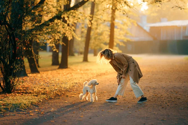 Девушка и собака в осеннем парке на закате. Прогулка с домашним животным. — стоковое фото