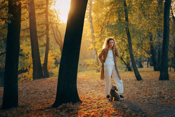 Flicka och hund i en höstpark vid solnedgången. Vandring med husdjur. — Stockfoto