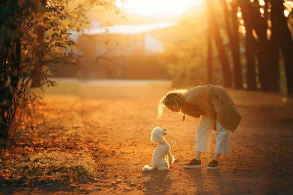 Flicka och hund i en höstpark vid solnedgången. Vandring med husdjur. — Stockfoto