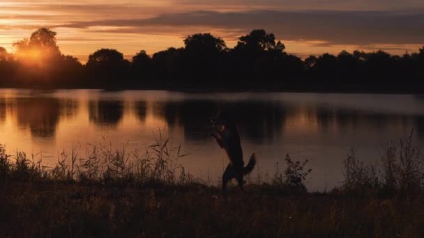 Silhouet van een hond springend op de achtergrond van het meer — Stockvideo