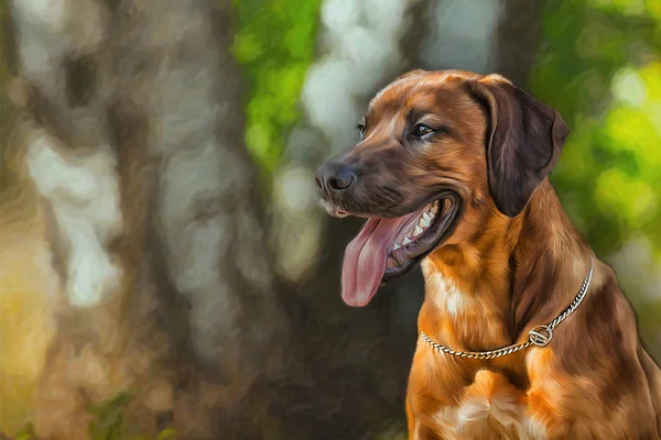 Tekening hond rhodesian ridgeback — Stockfoto