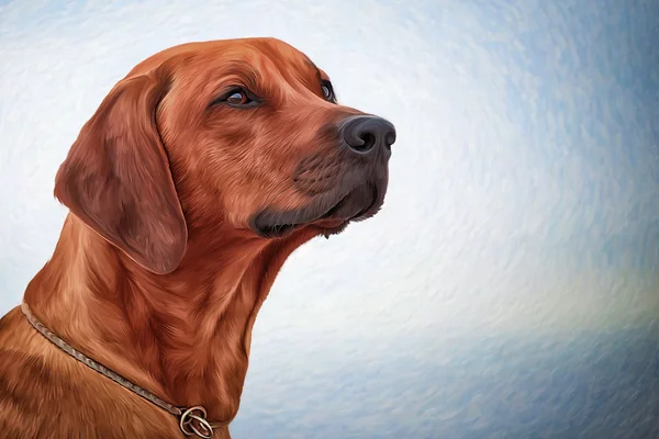 Zeichnung Hund Rhodesian Ridgeback — Stockfoto