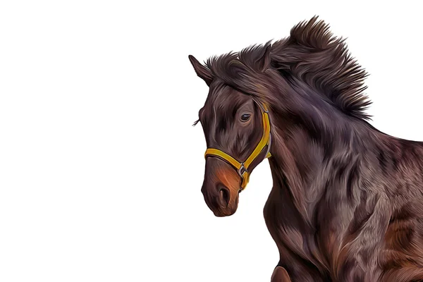 Drawing of a horse, portrait — Stock Photo, Image