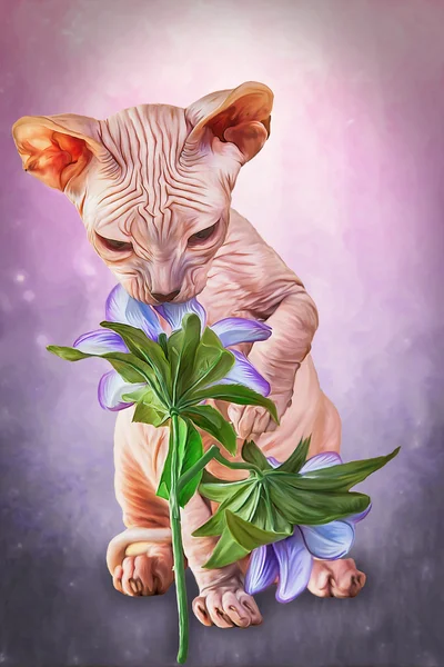 Рисование котенка Сфинкса, без волос — стоковое фото