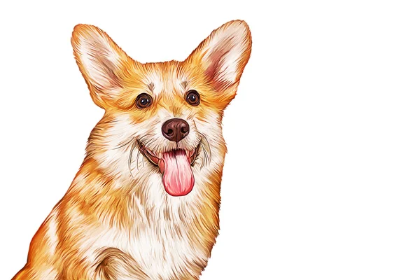 Drawing Dog breed Pembroke Welsh Corgi, Puppy — Stock Photo, Image