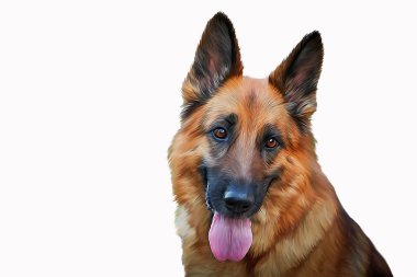 Alman çoban köpek köpek çizimi