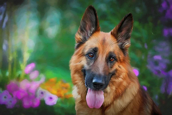 Рисунок собаки Немецкая овчарка — стоковое фото