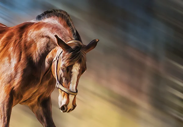 Tekening van een paard, portret — Stockfoto