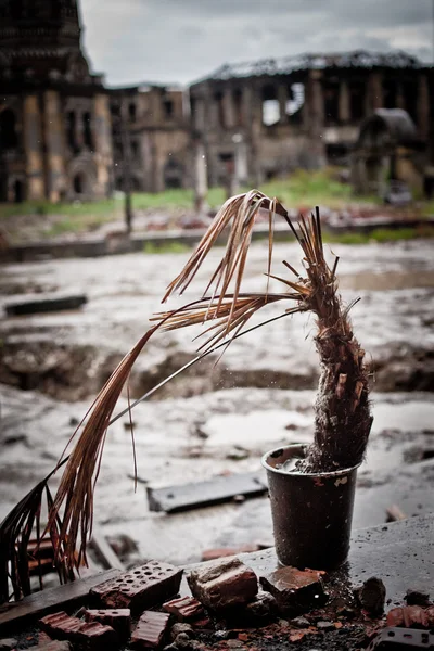 Oorlog verwoesting angst Rusland, landschap, natte, vuil, home town — Stockfoto