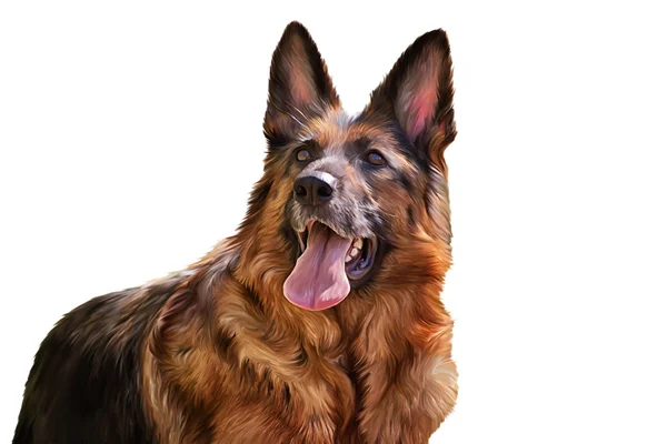 Drawing of the dog German Shepherd Dog — Stock Photo, Image