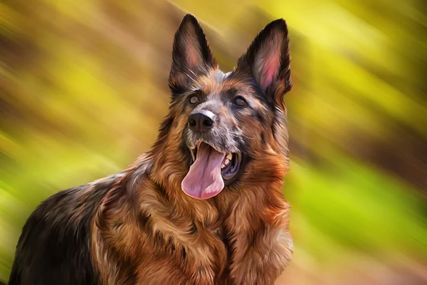 Dibujo del perro Pastor alemán Perro —  Fotos de Stock