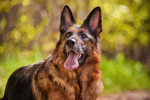 Drawing of the dog German Shepherd Dog — Stock Photo, Image