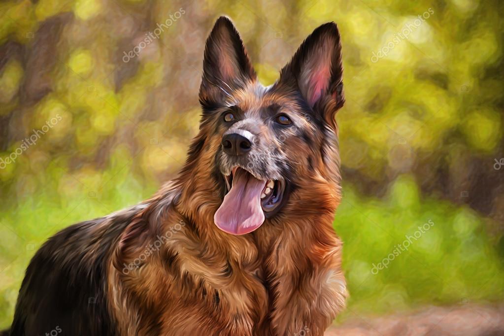 Rysunek Psa Owczarka Niemieckiego Zdjęcie Stockowe